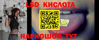 стафф Шелехов