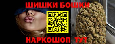 стафф Шелехов