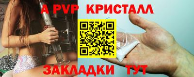 стафф Шелехов