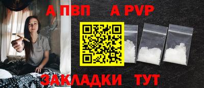 стафф Шелехов