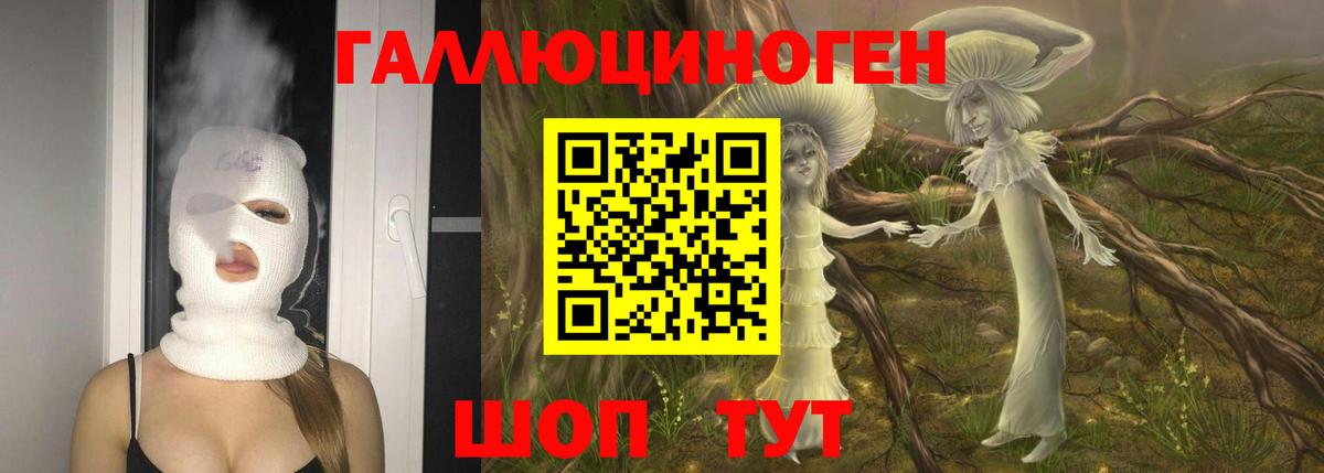 Галлюциногенные грибы Psilocybine cubensis  Вход с VPN  Дедовск 